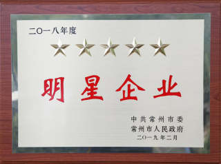 常寶股份榮獲“工業(yè)五星級(jí)企業(yè)”、“納稅金獎(jiǎng)”等多項(xiàng)大獎(jiǎng)156.png