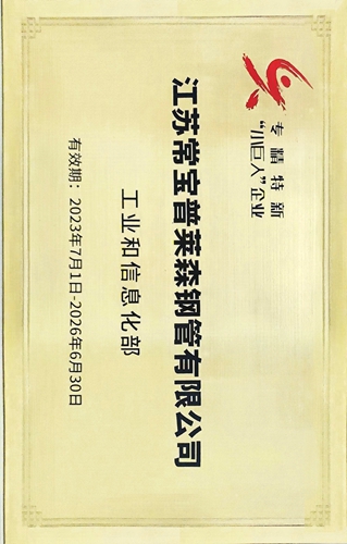 1、國家專精特新小巨人企業(yè)2023（常寶普萊森）_副本.jpg